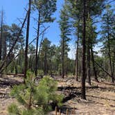 Review photo of Black Canyon Campground - Lower by Mark O., May 31, 2021