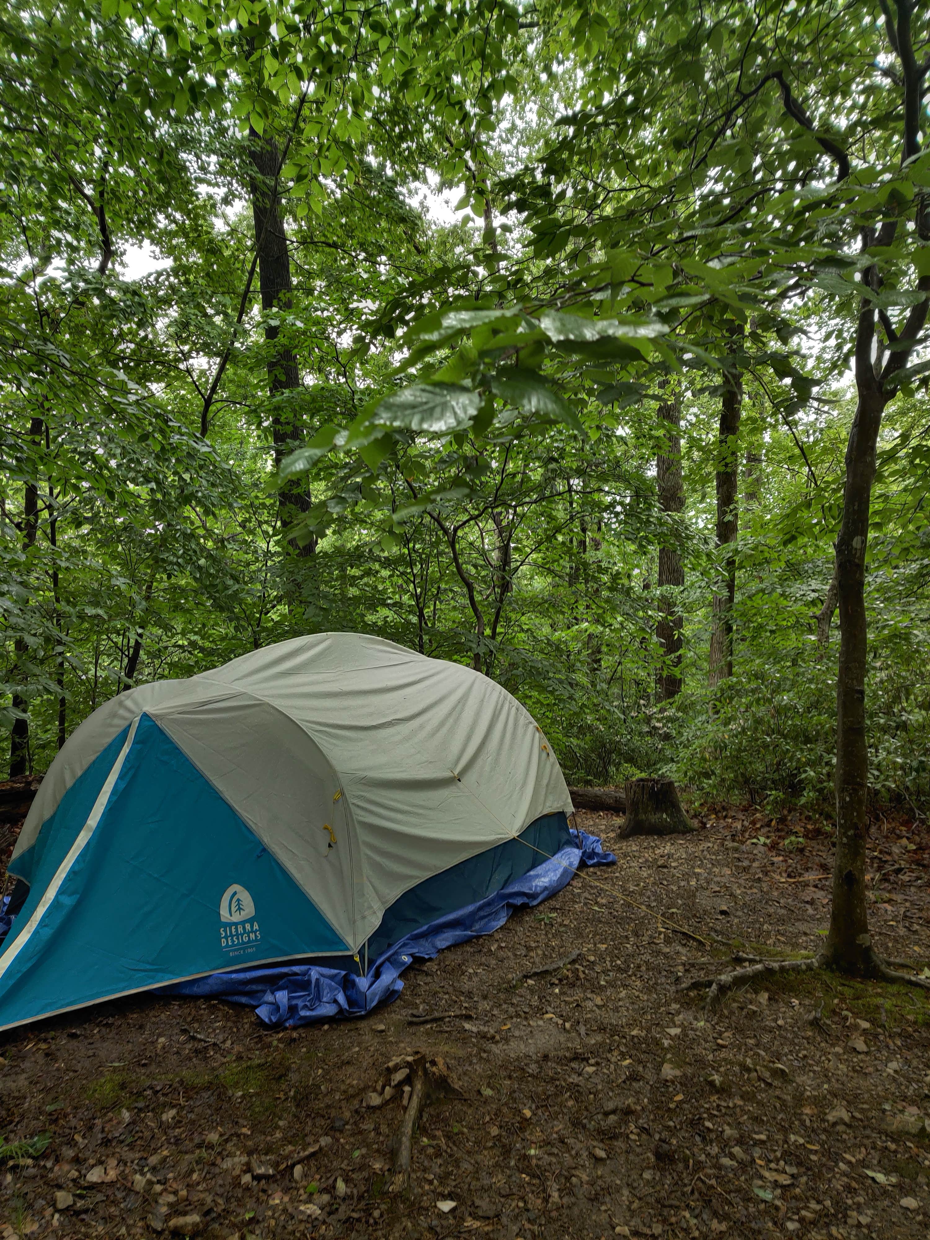 Kasumi's photo of tent camping at Chopawamsic Backcountry Area Primitive Campsites near Culpeper, VA