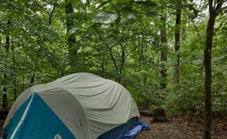 Kasumi's photo at Chopawamsic Backcountry Area Primitive Campsites near King George, VA