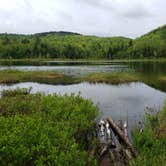 Review photo of Pillsbury State Park Campground by Richard M., May 31, 2021