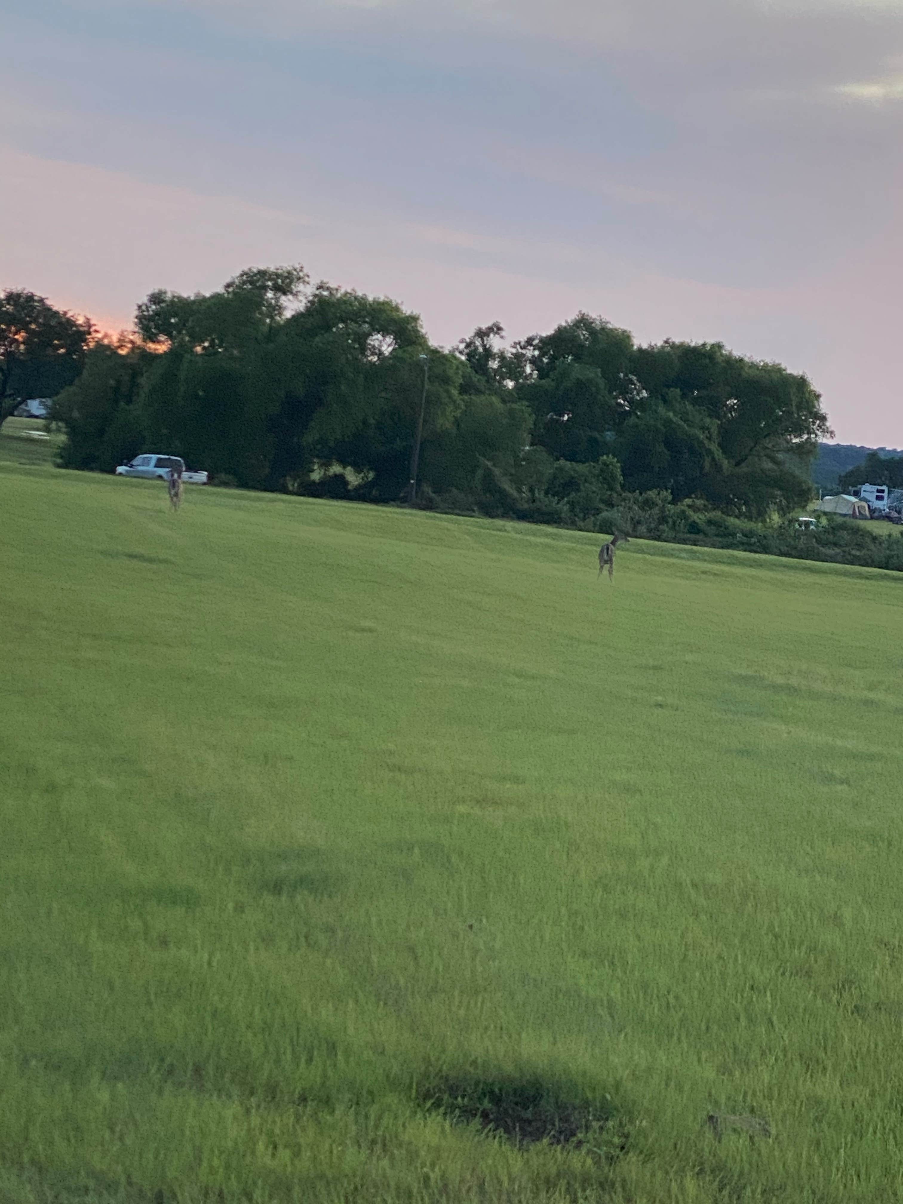 Camper submitted image from Military Park Fort Hood Belton Lake Outdoor Recreation Area - 4