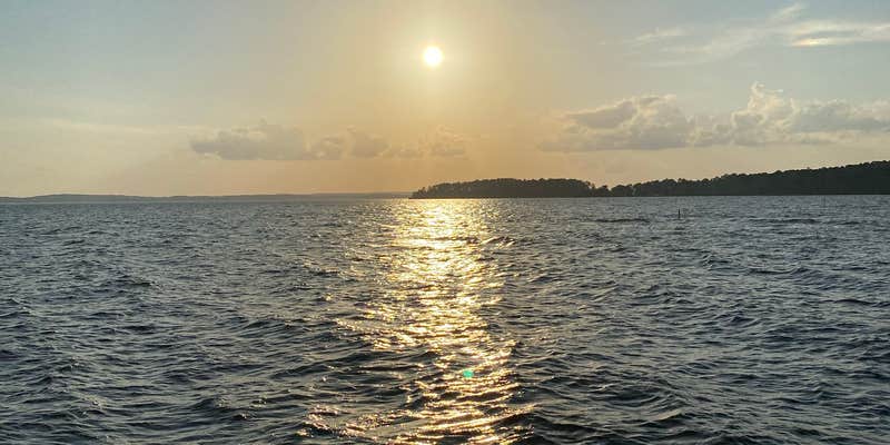 Camper submitted image from Cypress Bend State Rec Area