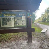 Review photo of Green Swamp — Hampton Tract by tamara , May 31, 2021