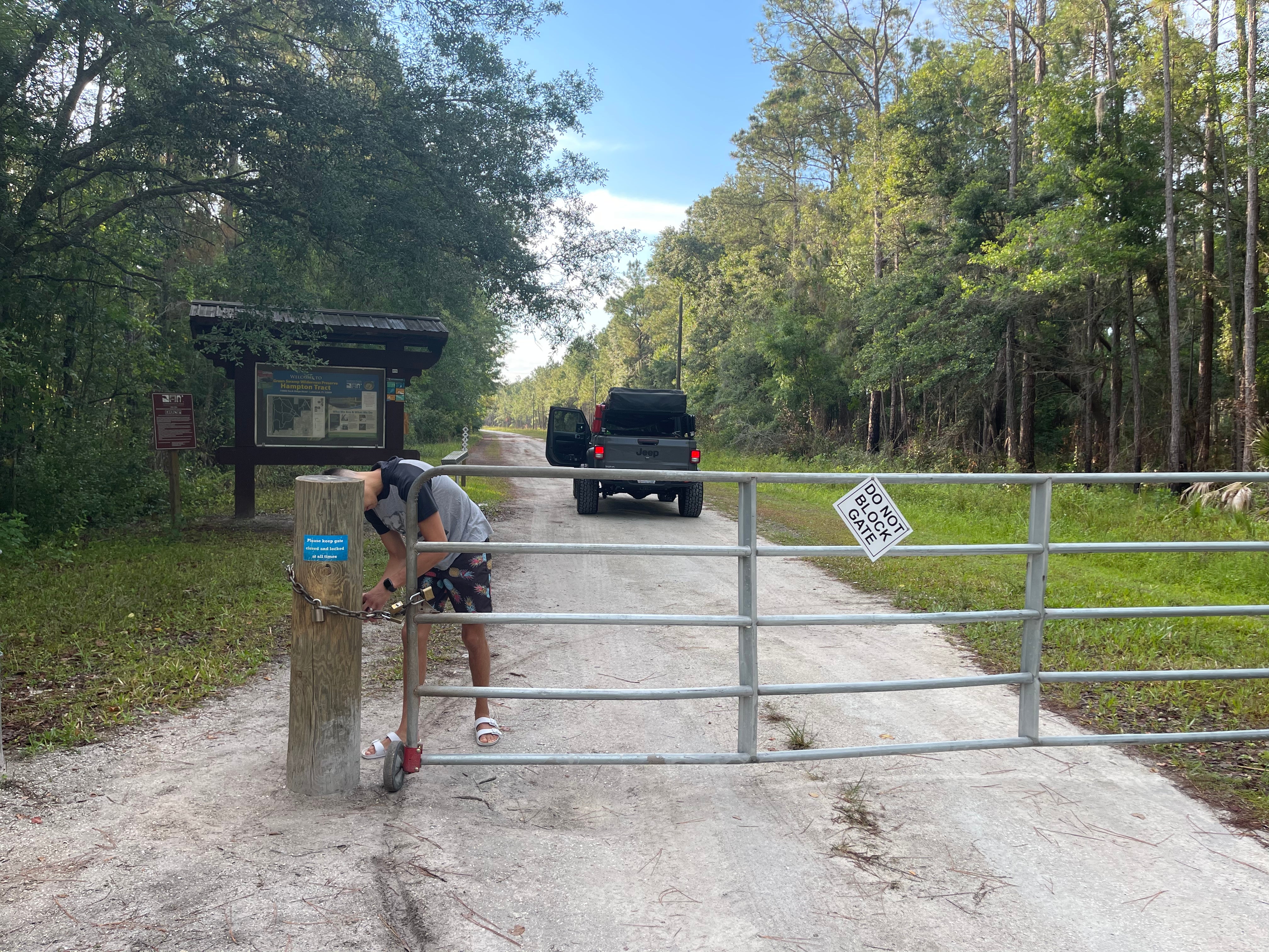 Camper submitted image from Green Swamp — Hampton Tract - 5