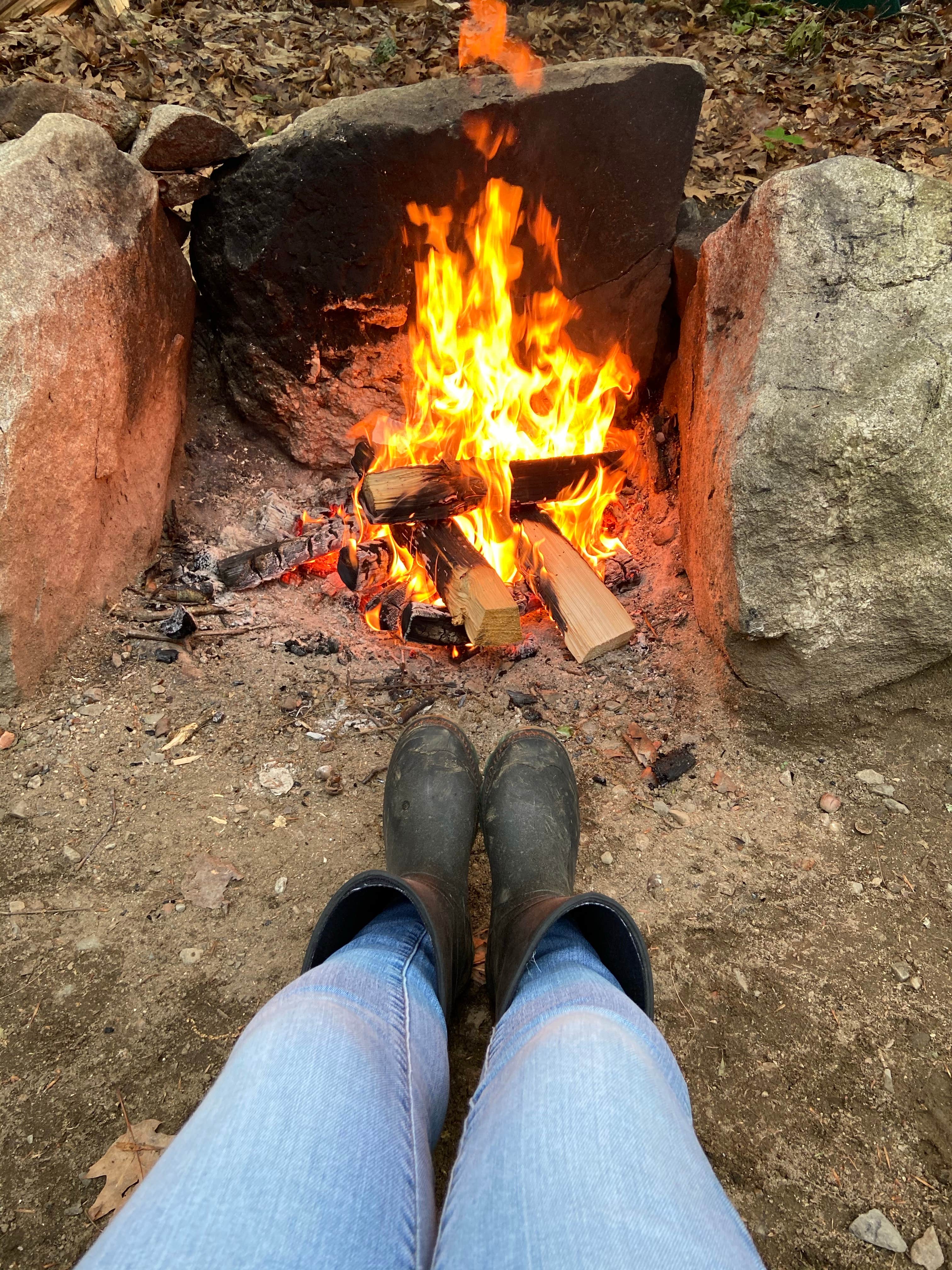 Bunganut Lake Camping Area The Dyrt