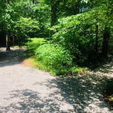 Review photo of Dogwood Loop Campground by Shelly S., June 6, 2018