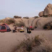 Review photo of Jumbo Rocks Campground — Joshua Tree National Park by Miles K., May 30, 2021