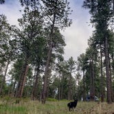 Review photo of Pajarito Springs (Dispersed) by Jeanie P., May 31, 2021