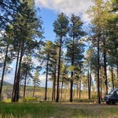 Review photo of Pajarito Springs (Dispersed) by Jeanie P., May 31, 2021