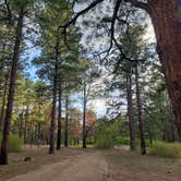 Review photo of Pajarito Springs (Dispersed) by Jeanie P., May 31, 2021