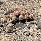 Review photo of Hole in the Wall Backcountry Sites — Death Valley National Park by Conrad G., May 31, 2021