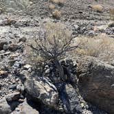 Review photo of Hole in the Wall Backcountry Sites — Death Valley National Park by Conrad G., May 31, 2021