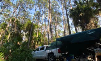 Kara W.'s photo at Rodman Campground near Hawthorne, FL