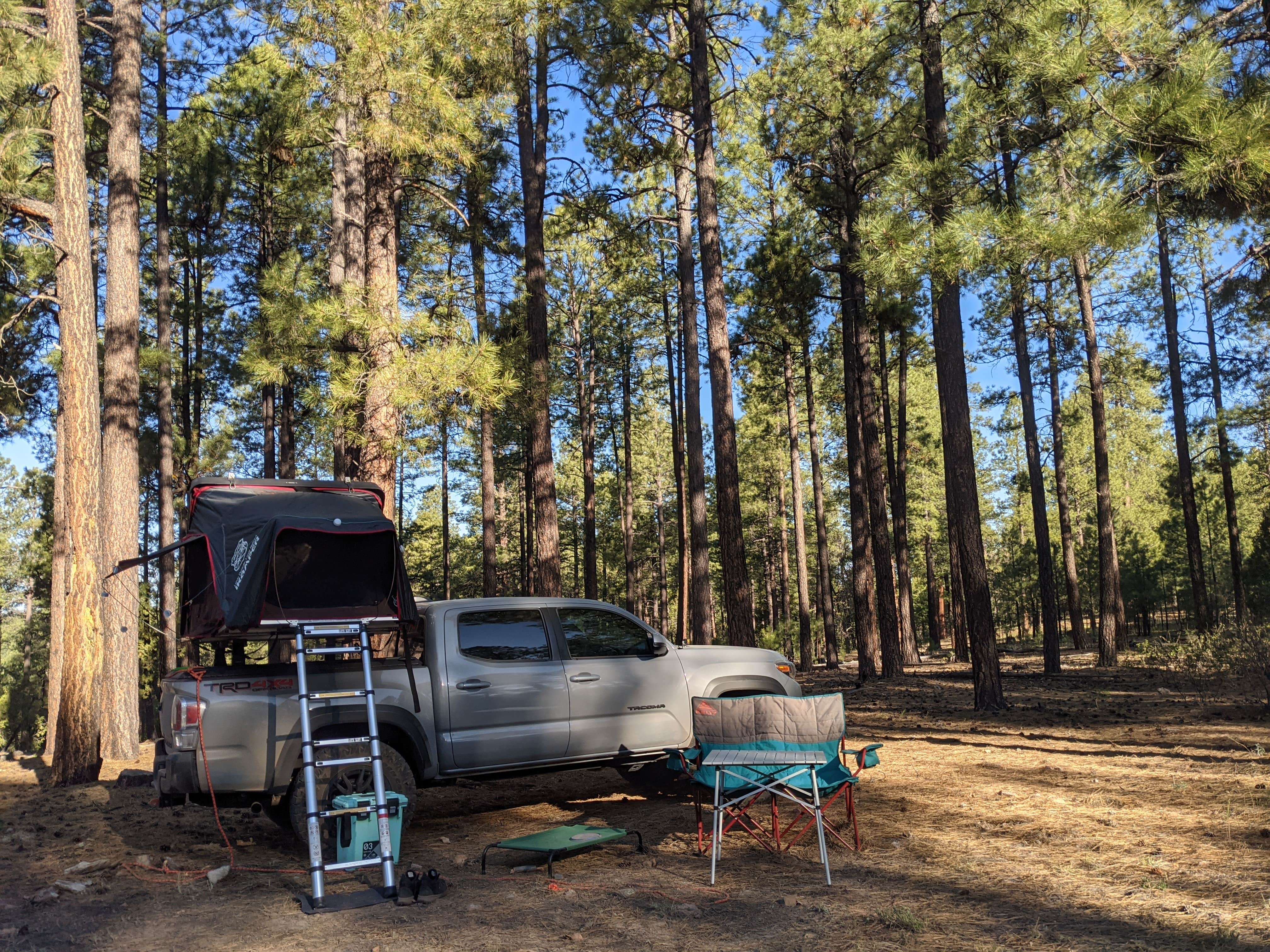 Camper submitted image from West Clear Creek Dispersed Camping - 3