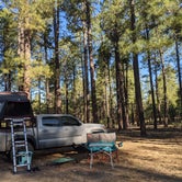 Review photo of West Clear Creek Dispersed Camping by Gillian C., May 31, 2021
