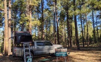 Gillian C.'s photo at West Clear Creek Dispersed Camping near Pine, AZ