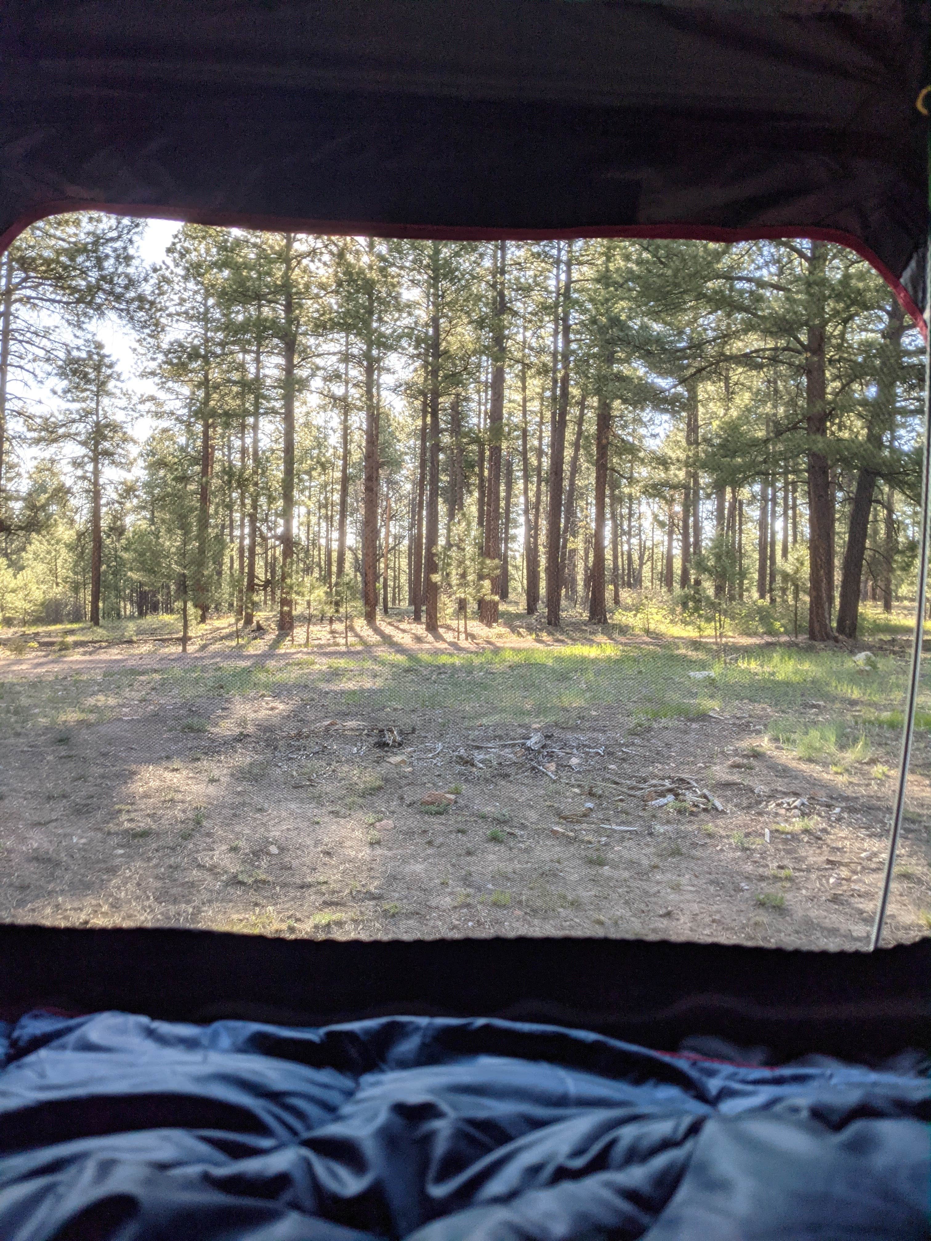 Gillian C.'s photo of a dispersed camping area at West Clear Creek Dispersed Camping near Happy Jack, AZ