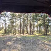 Review photo of West Clear Creek Dispersed Camping by Gillian C., May 31, 2021