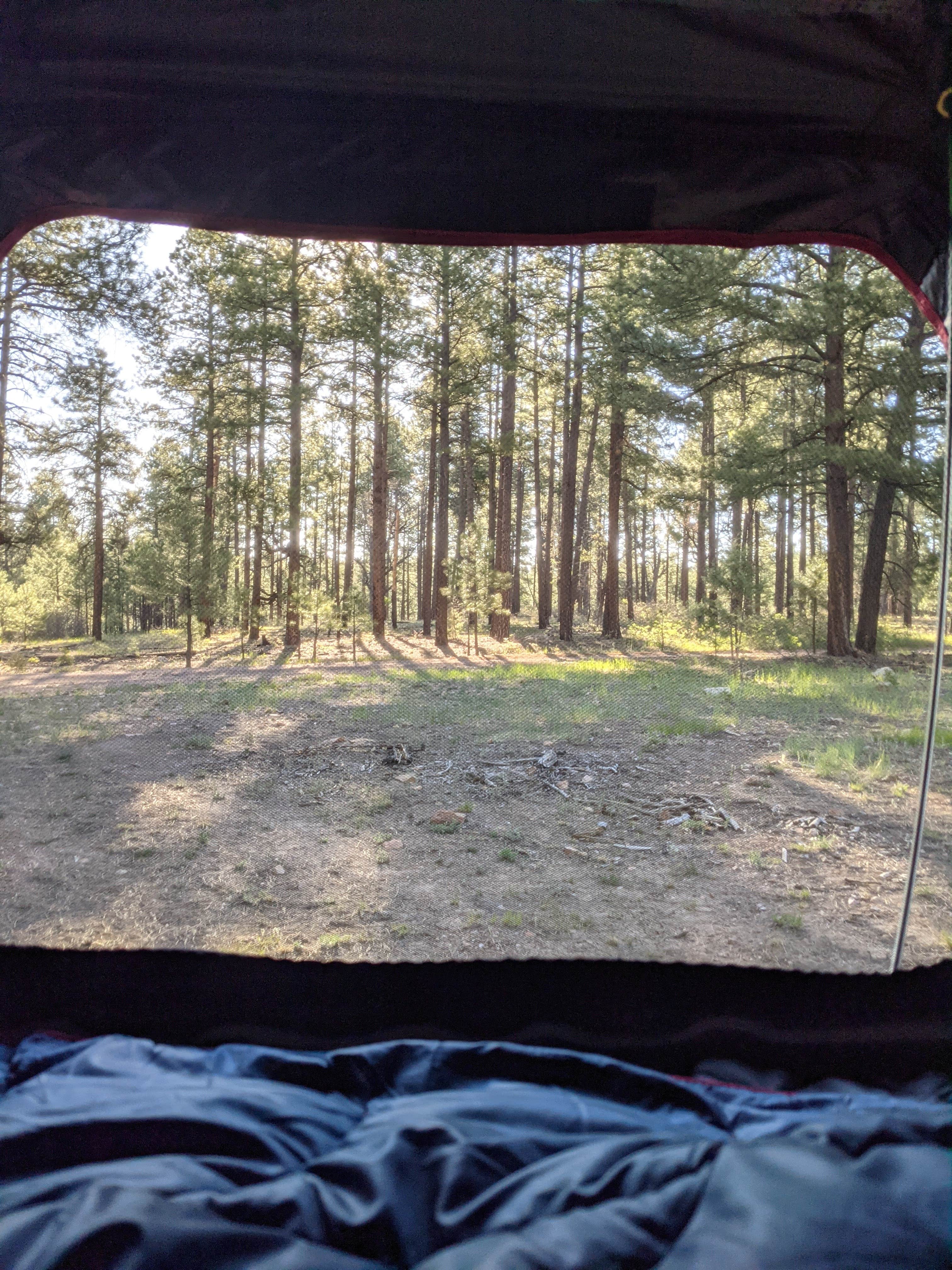 Camper submitted image from West Clear Creek Dispersed Camping - 2