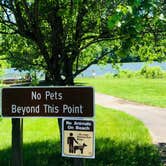 Review photo of Catbrier Loop Campground by Shelly S., June 6, 2018