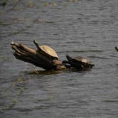 Review photo of Santee State Park--Lakeshore Campground by Myron C., May 31, 2021