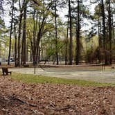 Review photo of Santee State Park--Lakeshore Campground by Myron C., May 31, 2021