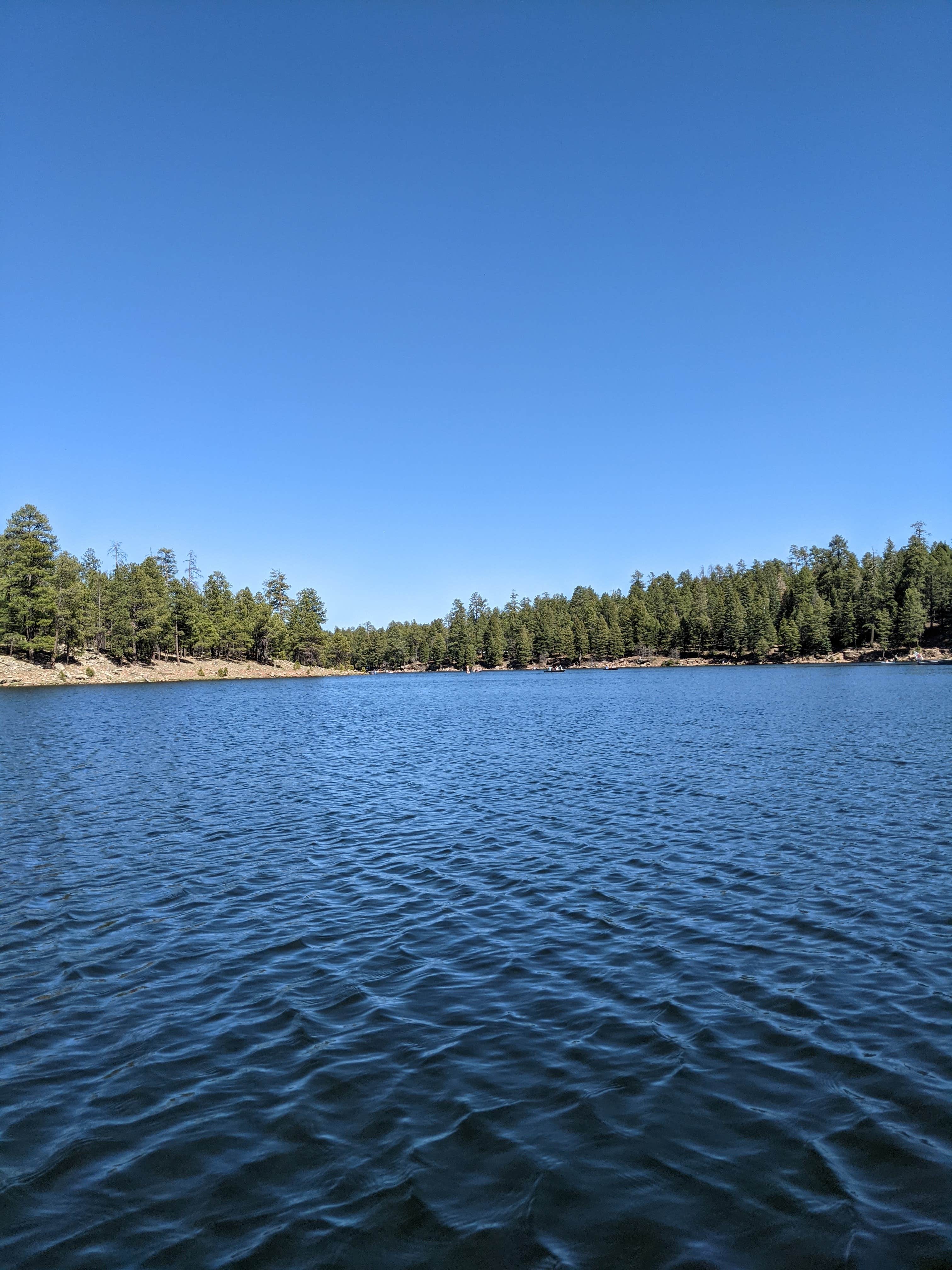 Gillian C.'s photo of a dispersed camping area at Bear Willow Road Dispersed Camping near Heber-Overgaard, AZ
