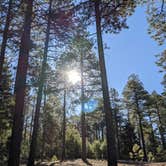 Review photo of Bear Willow Road Dispersed Camping by Gillian C., May 31, 2021