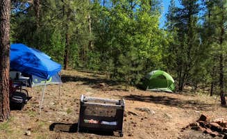 Tyler D.'s photo at FS 609 - Dispersed Camping near Pine, AZ