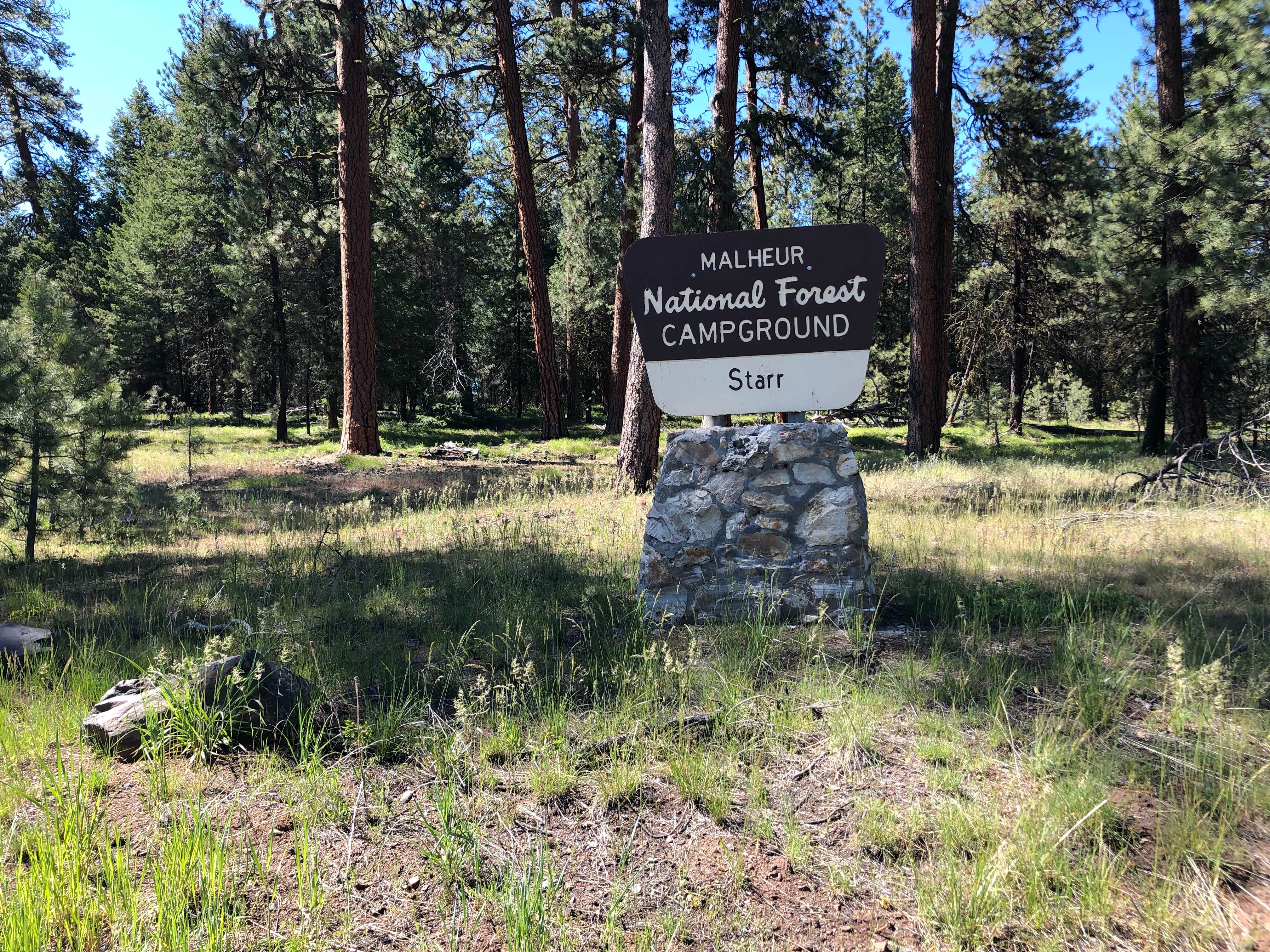 Camper-submitted photo at Starr near Malheur National Forest