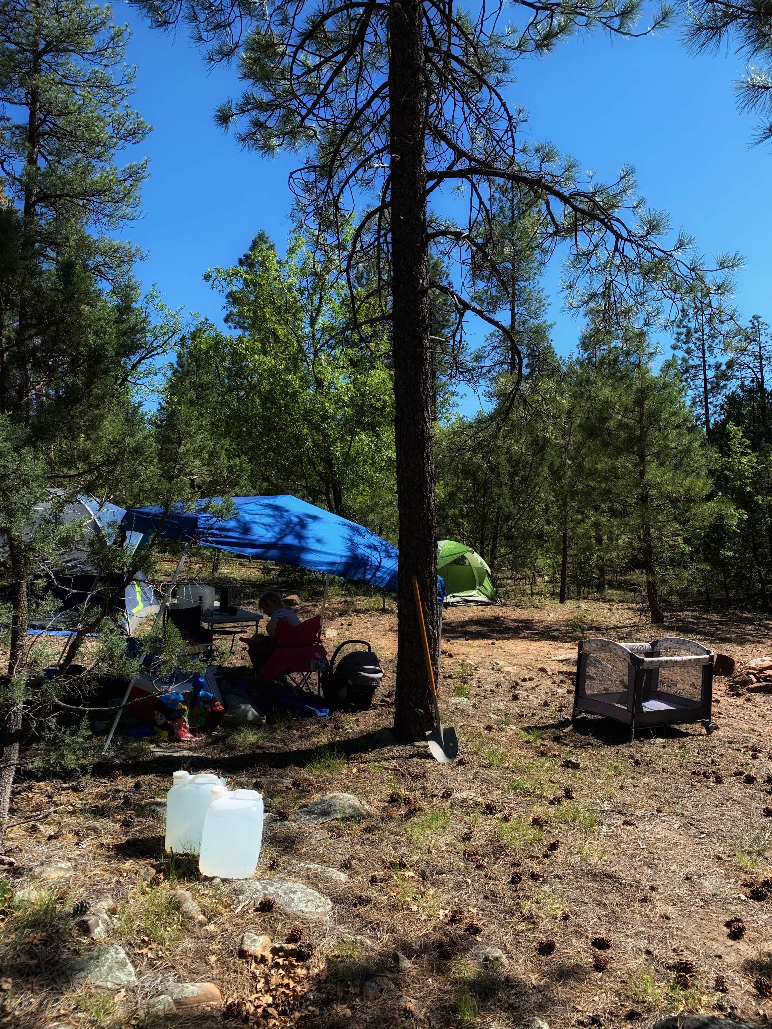 Camper submitted image from FS 609 - Dispersed Camping - 5