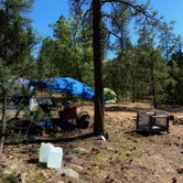 Review photo of FS 609 - Dispersed Camping by Tyler D., May 31, 2021