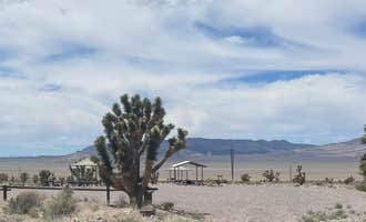 Camping near Young's RV Park: Chief Mountain West, Caliente, Nevada