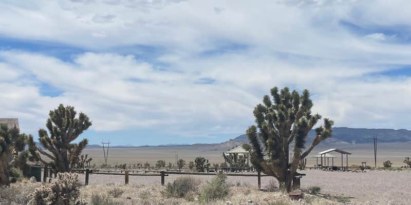 Camper submitted image from Chief Mountain West