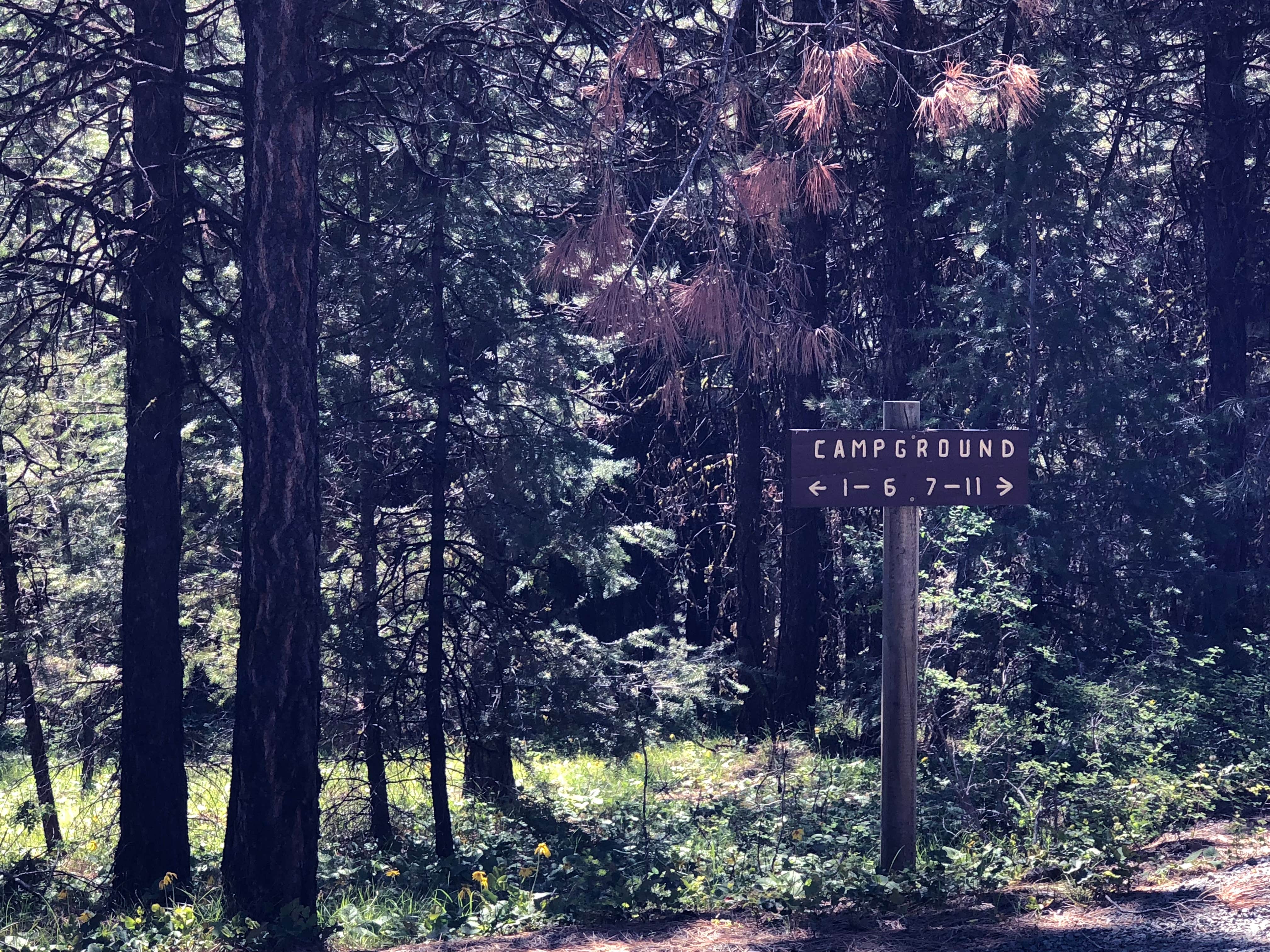 Camper-submitted photo at Starr near Malheur National Forest