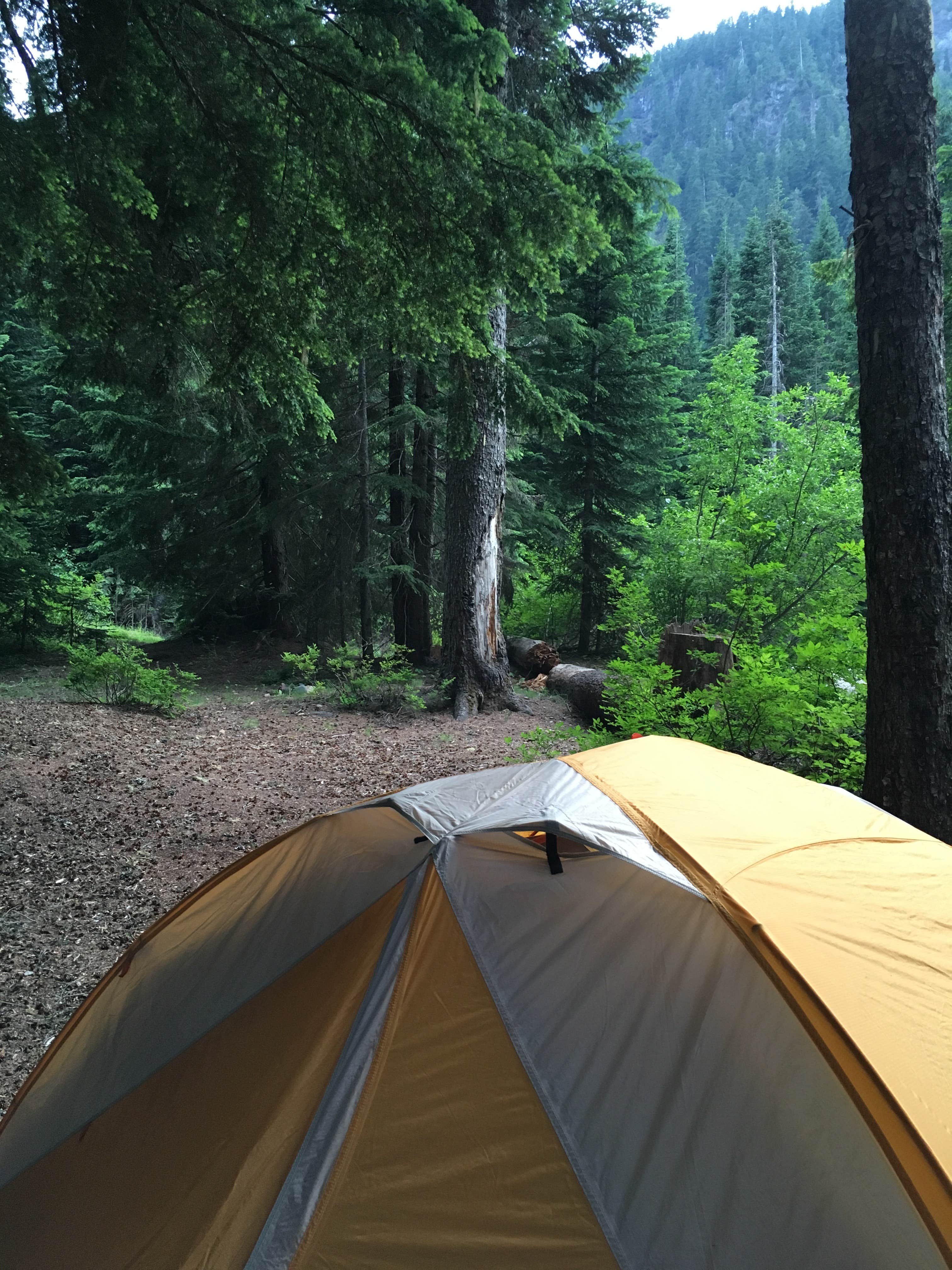 Annie C.'s photo at Kachess Campground near Snoqualmie Pass, WA