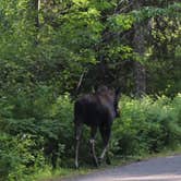 Review photo of Kachess Campground by Annie C., May 31, 2021