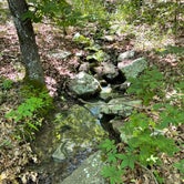 Review photo of The Shady Grove — Tenkiller State Park by Elise H., May 31, 2021