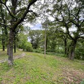 Review photo of The Shady Grove — Tenkiller State Park by Elise H., May 31, 2021