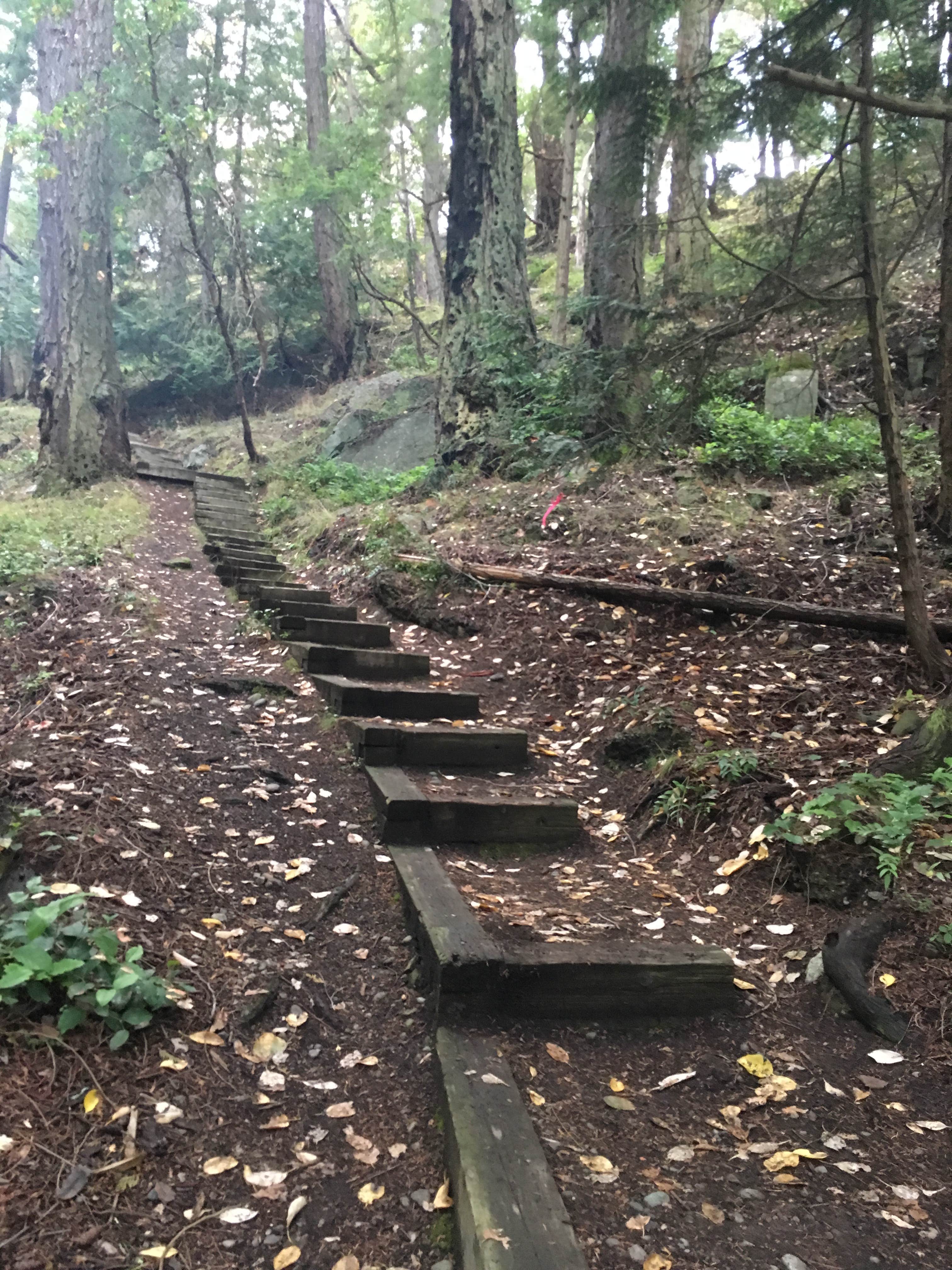 Camper submitted image from Stuart Island Marine State Park Campground - 5