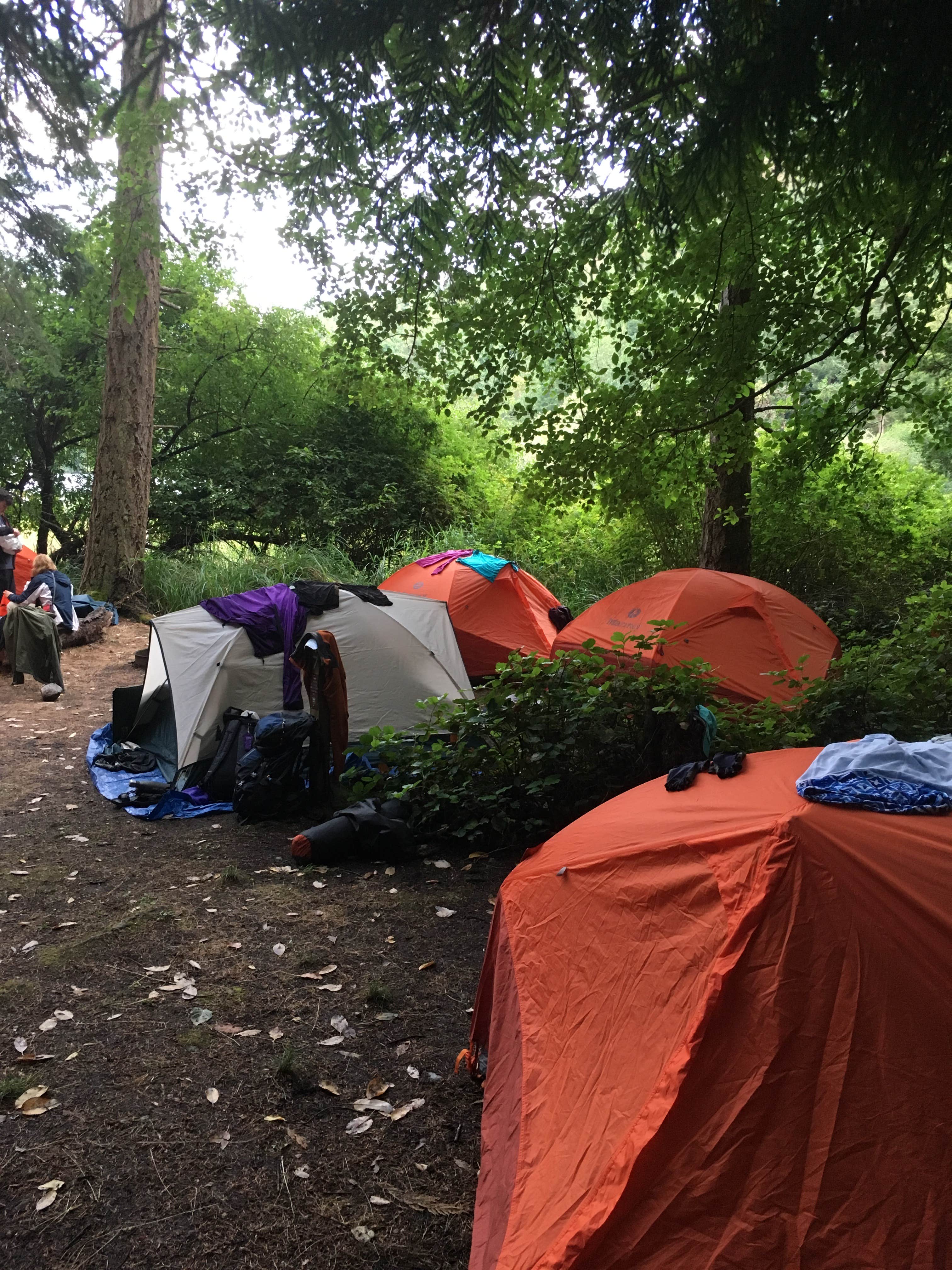 Annie C.'s photo of tent camping at Stuart Island Marine State Park Campground near Lummi Island, WA
