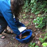 Review photo of Stuart Island Marine State Park Campground by Annie C., May 31, 2021