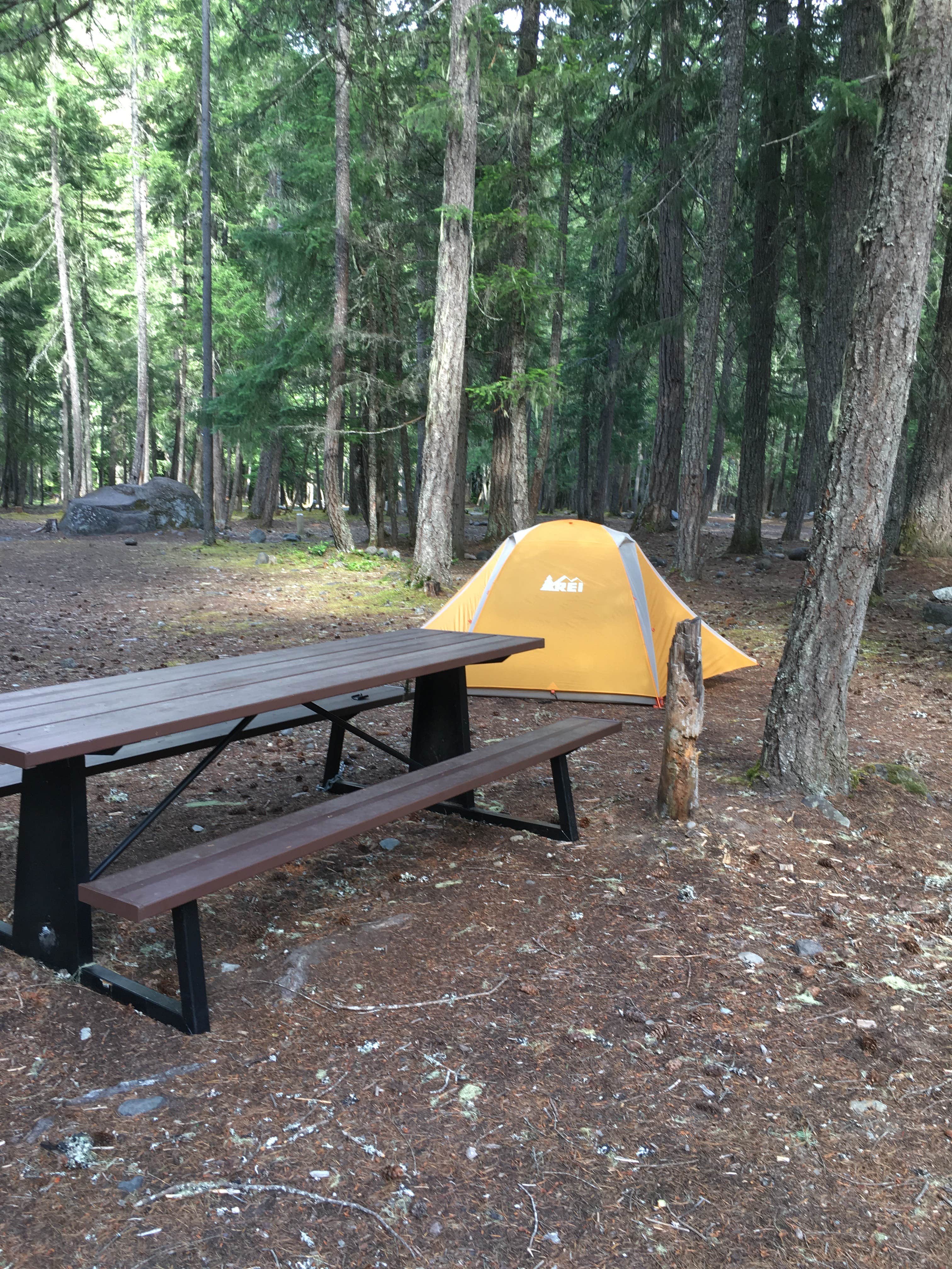 Annie C.'s photo at Ranger Creek Airstrip Dispersed near Greenwater, WA