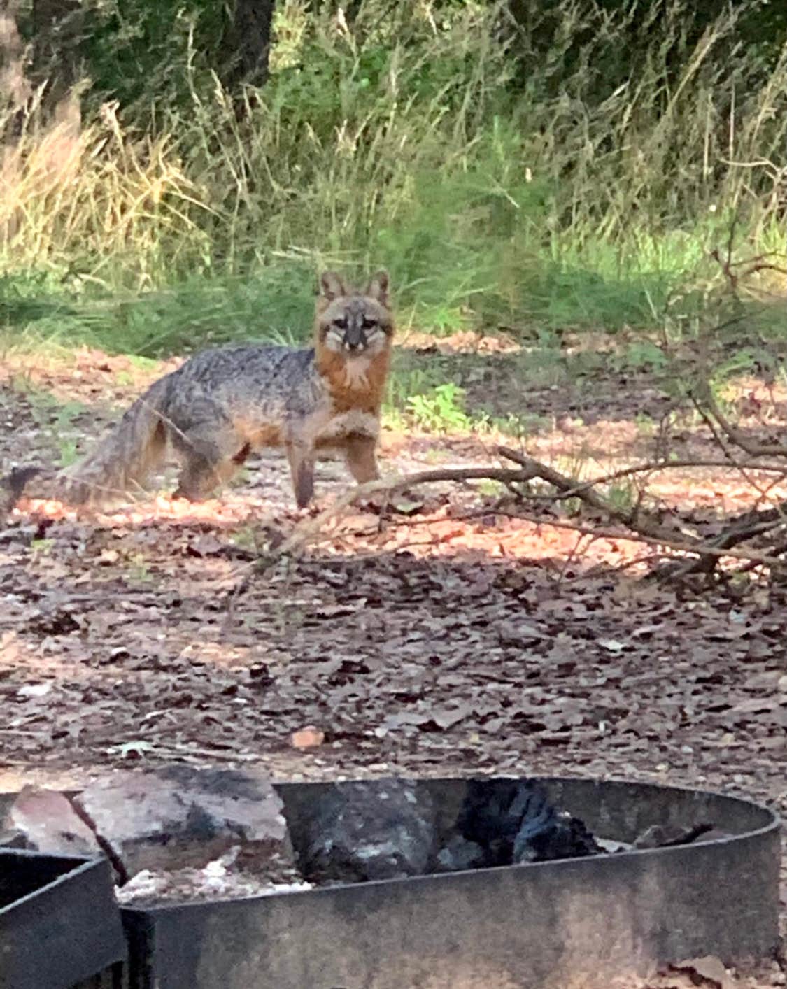 Camper submitted image from COE Lake Greeson Dam Area - 1