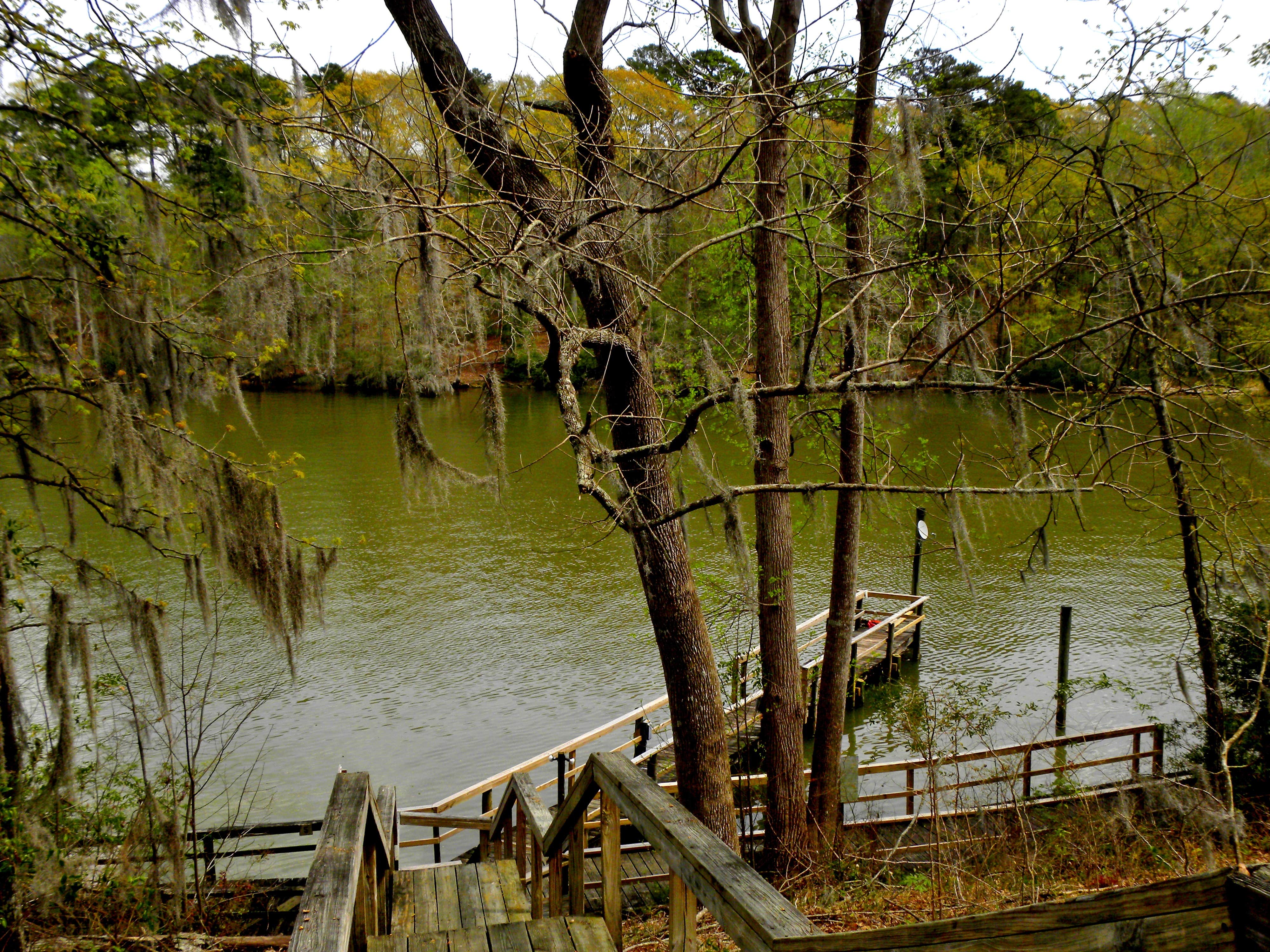 Camping near Bells Marina & Resort: Lake Marion Resort & Marina, Santee, South Carolina