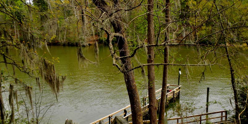 Camper submitted image from Lake Marion Resort & Marina