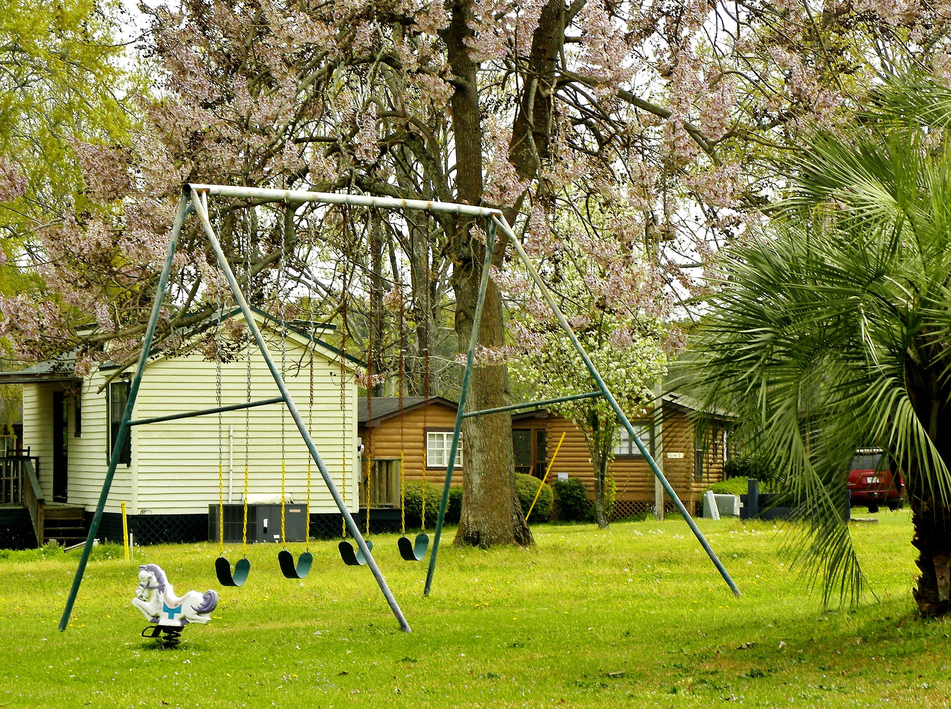Camper submitted image from Lake Marion Resort & Marina - 4