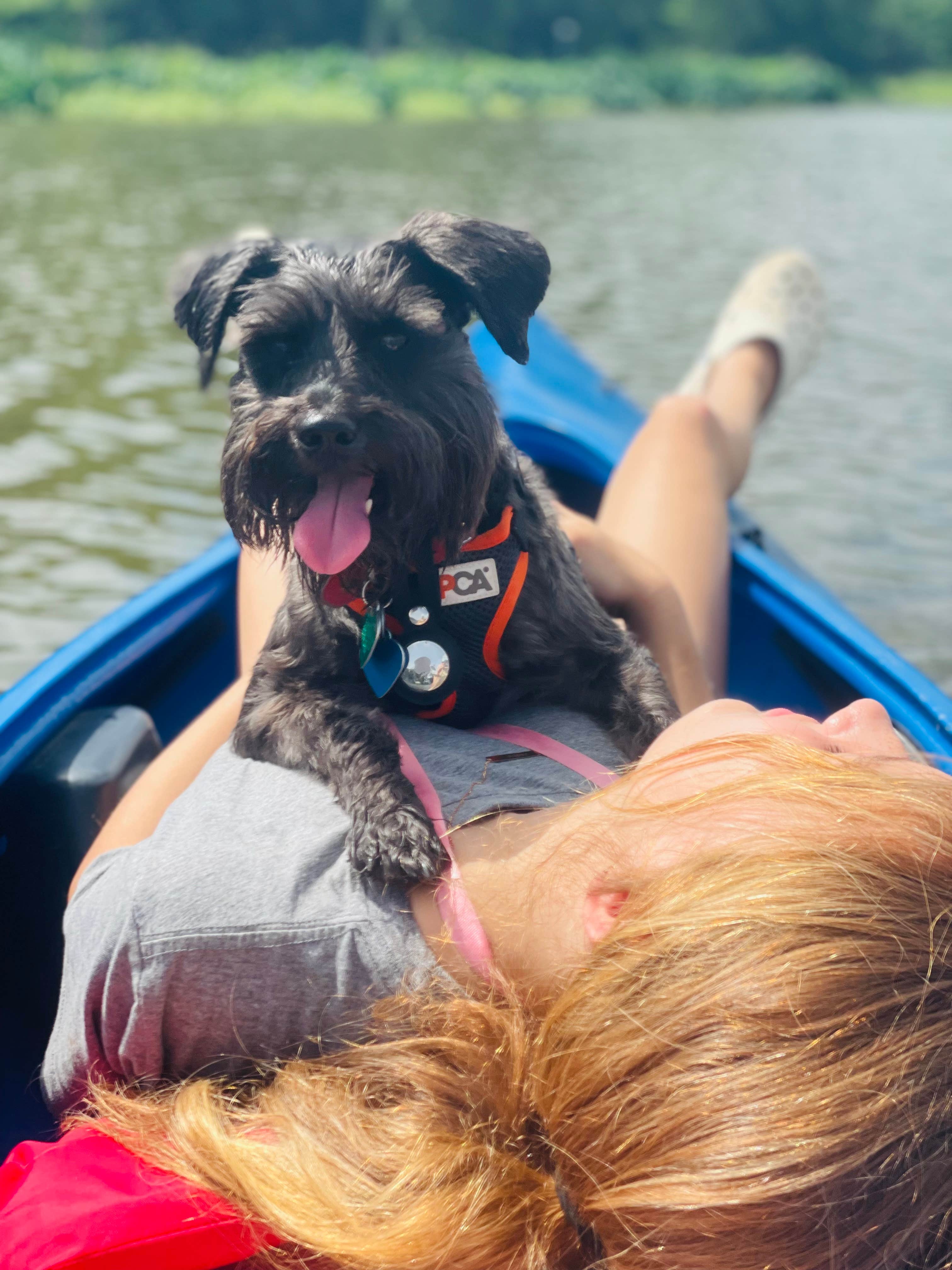 Jessica B.'s photo of camping with pets at Lakeview Park near Marksville, LA