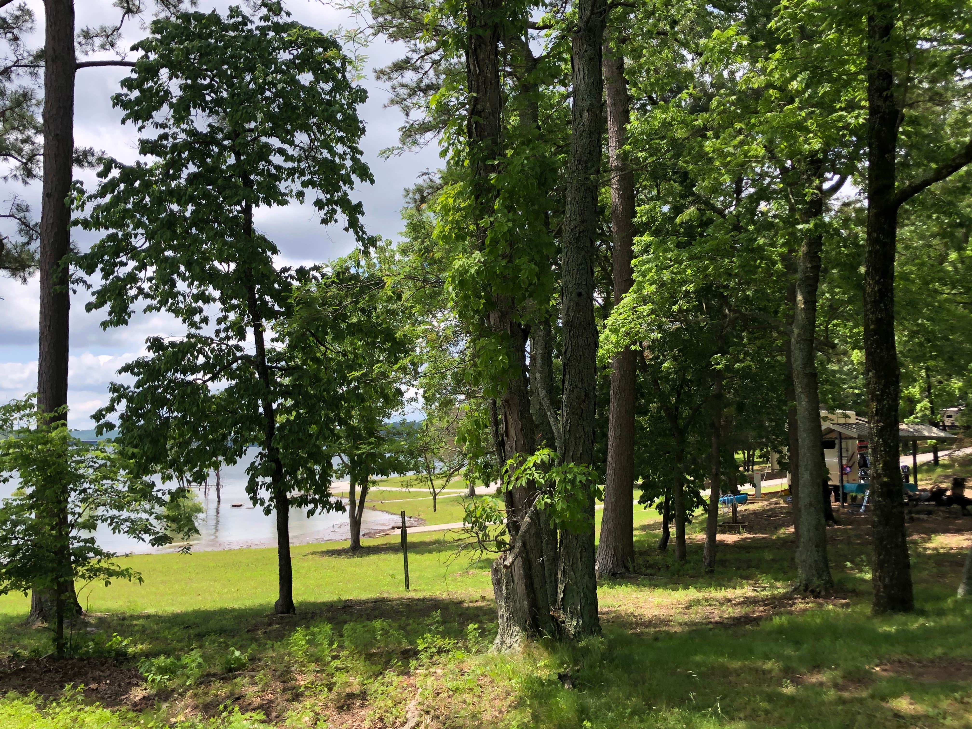 Camper-submitted photo at Bidwell Point Park near Norfork, AR