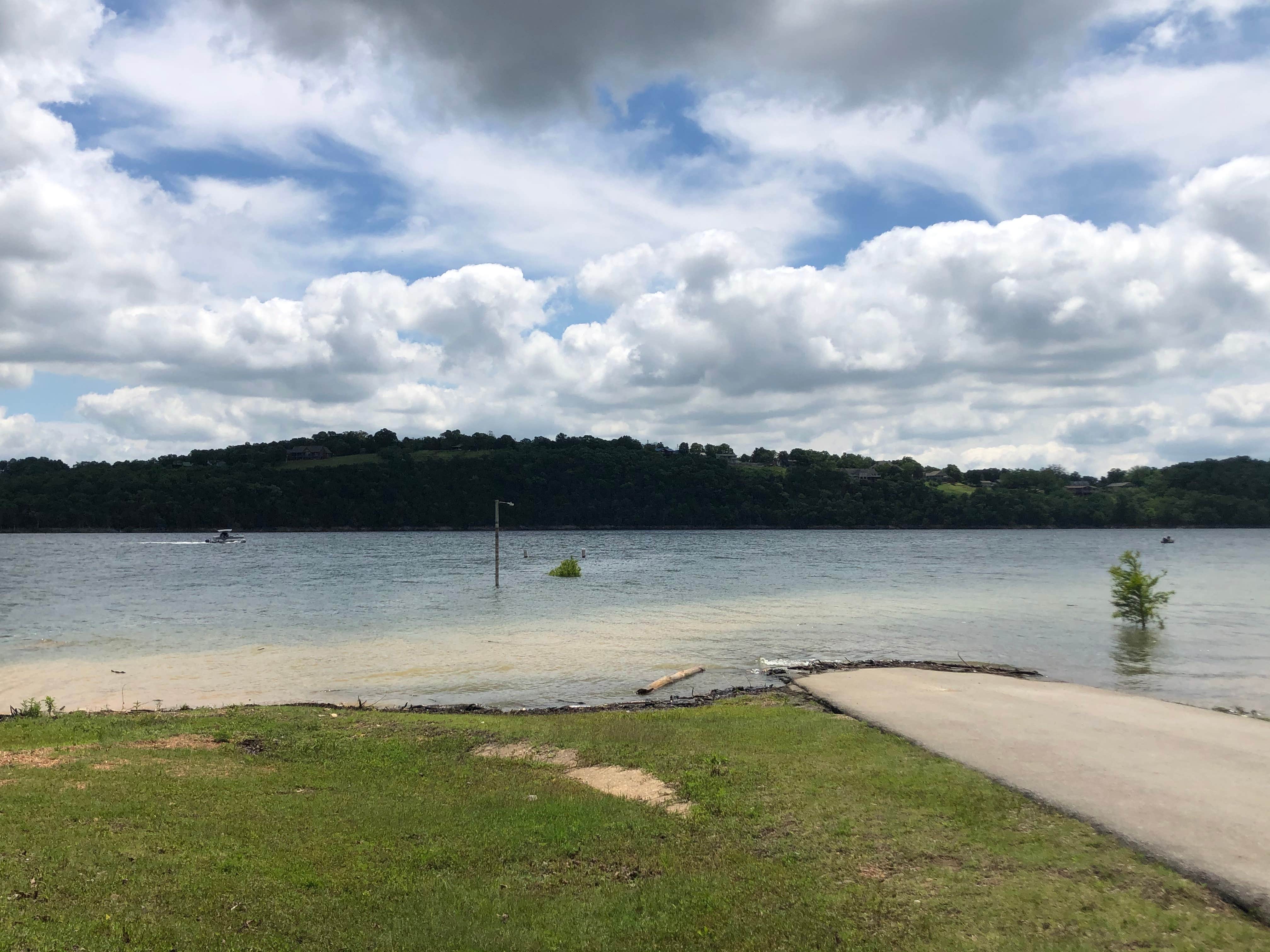 Camper submitted image from Bidwell Point Park - 5